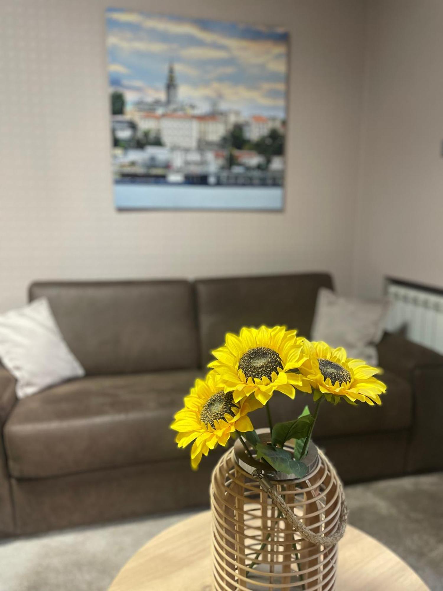 City Code In Joy Belgrade Exterior photo